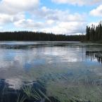 Portage from Bartlett Lake to Rithaler Lake
 /       